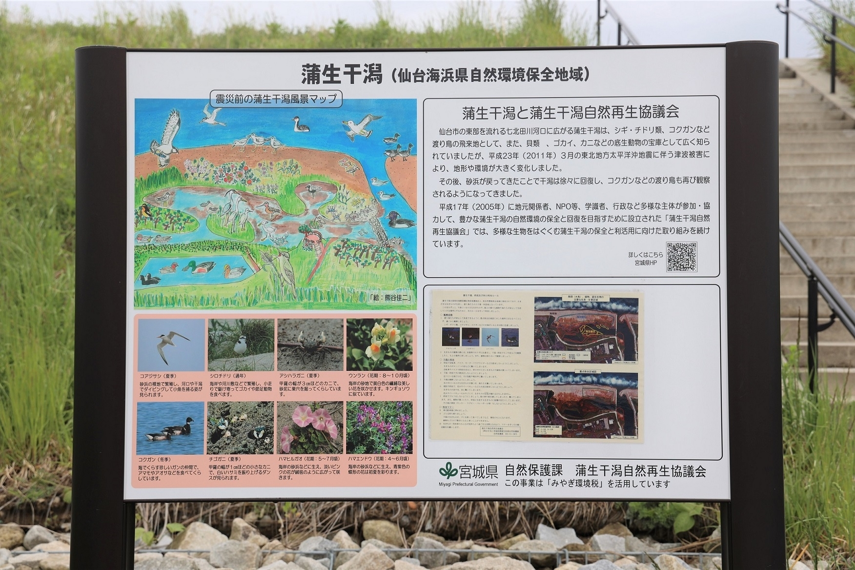 日和山駐車場の掲示板