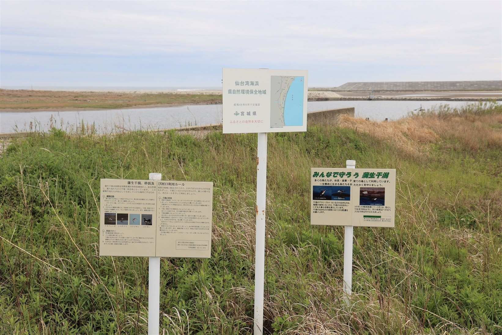 日和山脇の掲示板