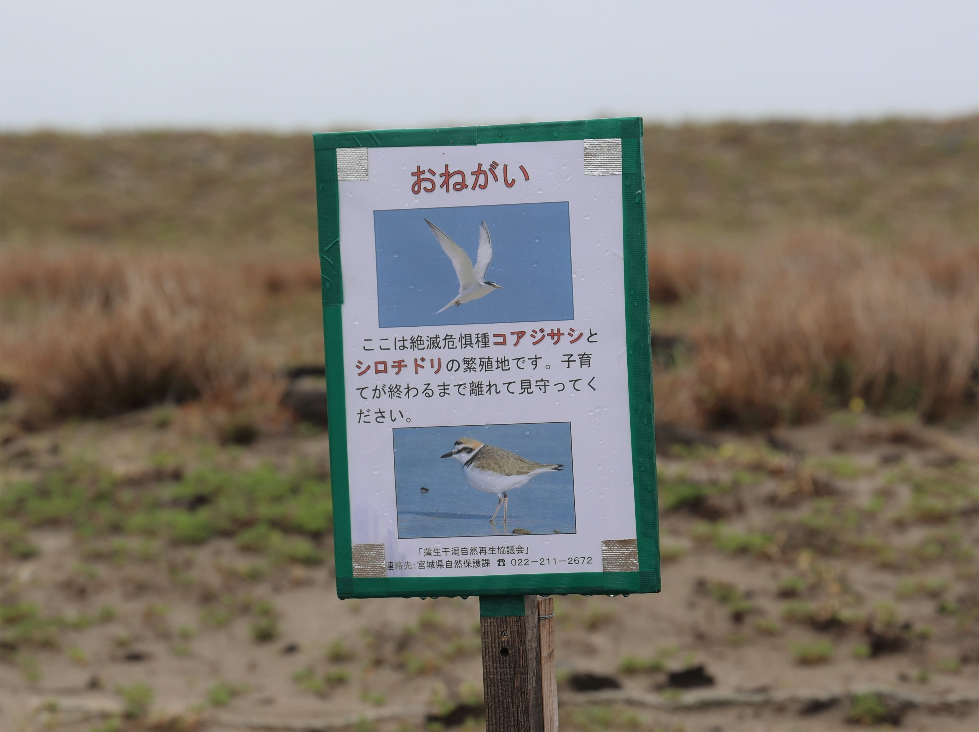 「おねがい」の看板