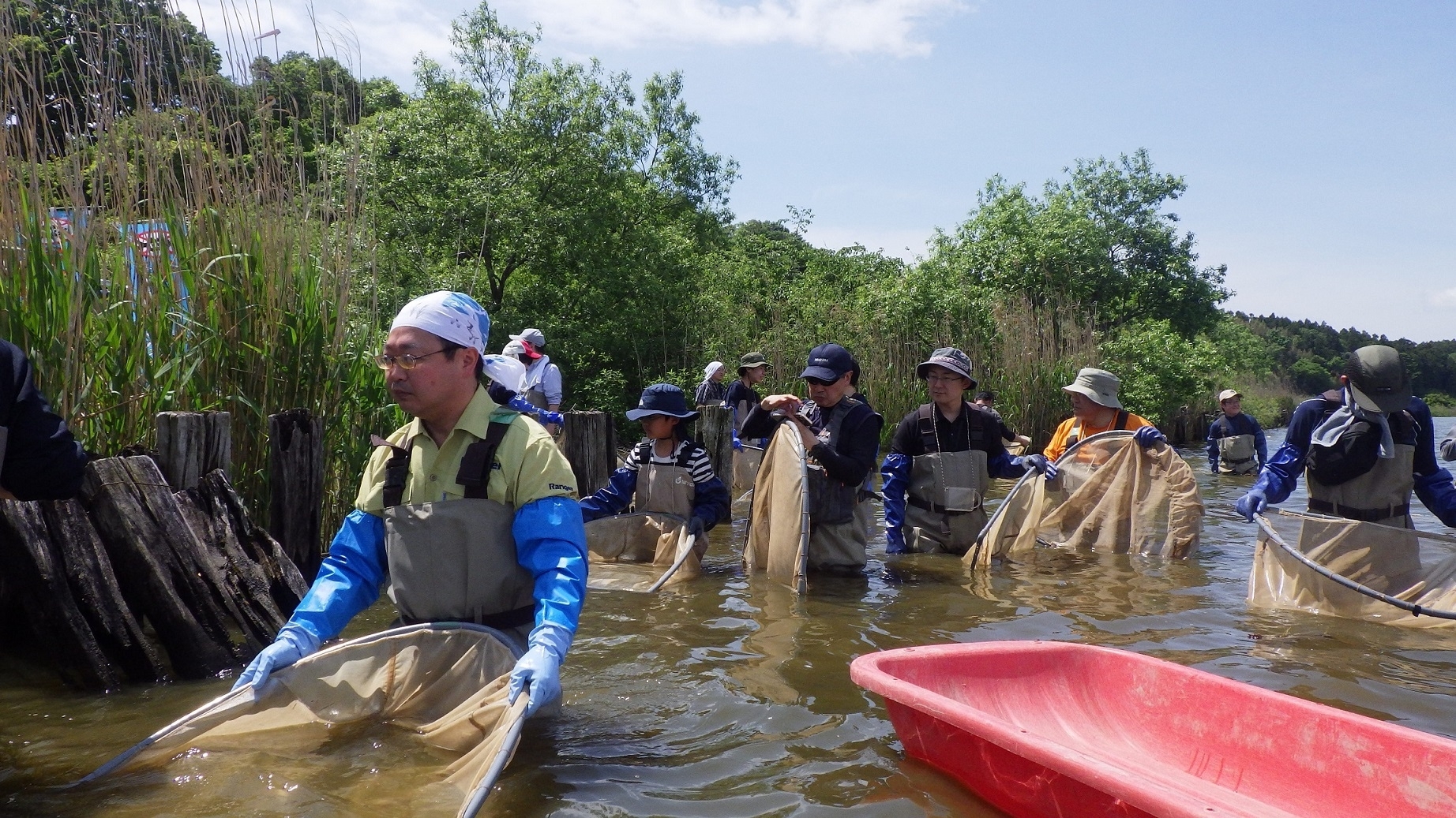 手ぬぐいをかぶって沼を進む