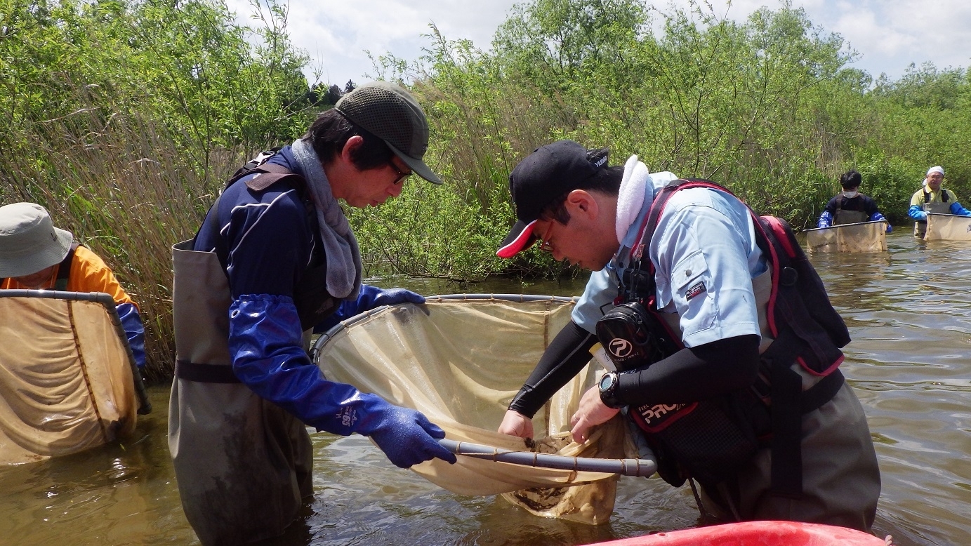 三角網の中のいきもの