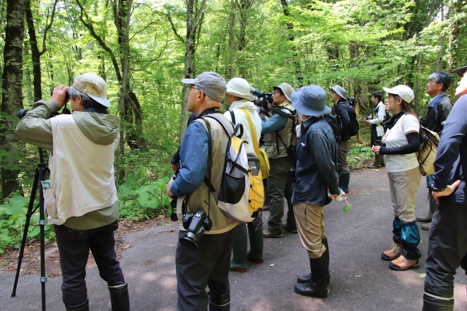みんなで野鳥を探す