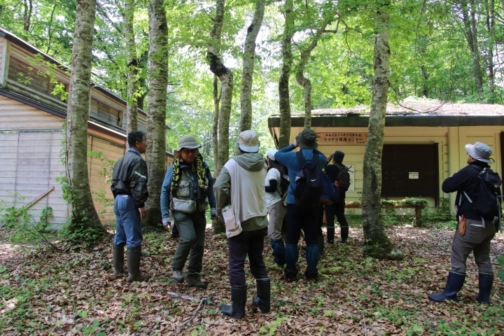 参加者でキセキレイを観察