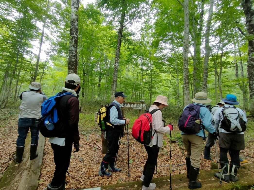 桃洞滝黒石川分岐