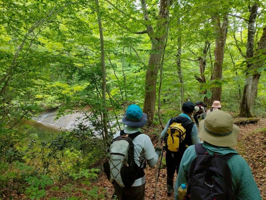 桃洞横滝に到着