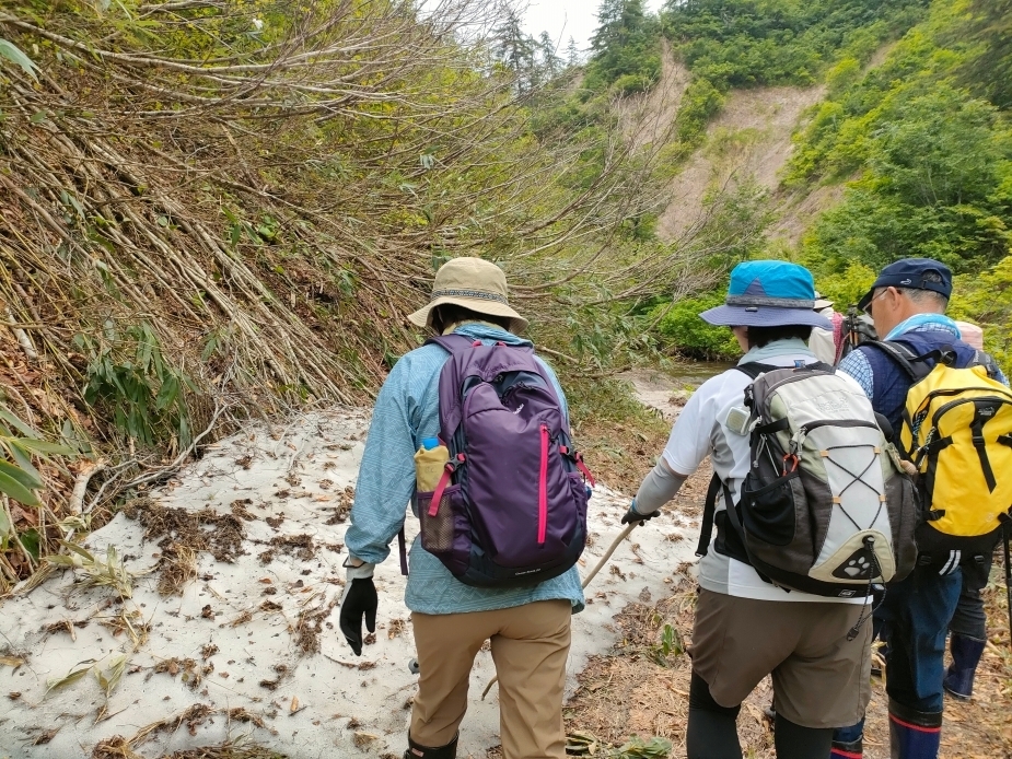 雪が残る桃洞沢