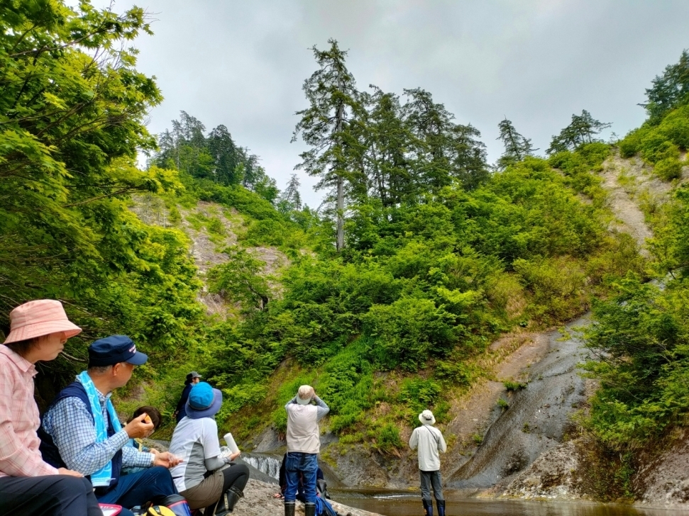桃洞沢でお昼ご飯