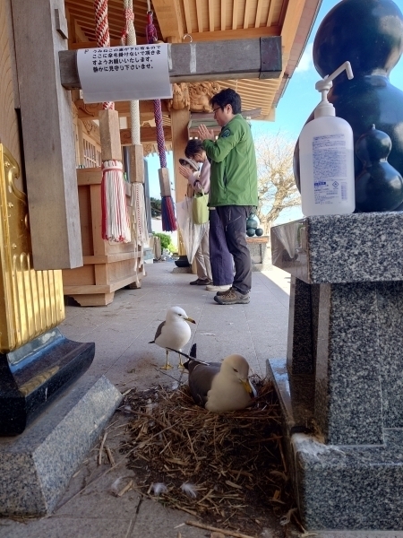 ＃何をお祈りいているのでしょうか