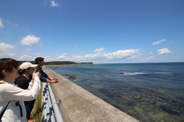 ＃洋野町の海がきれい