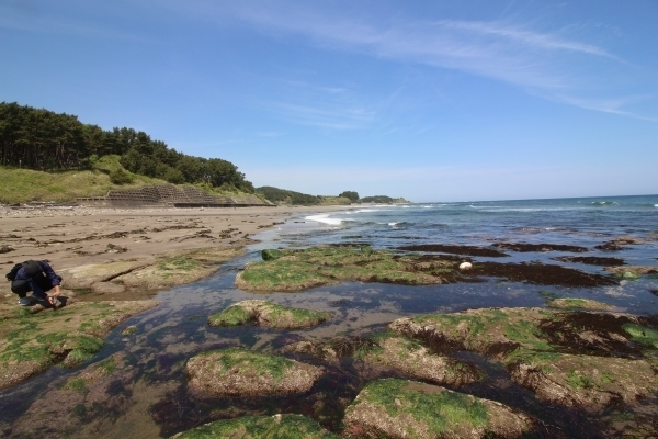 ＃潮が引いていたので普段より砂浜を眺めました