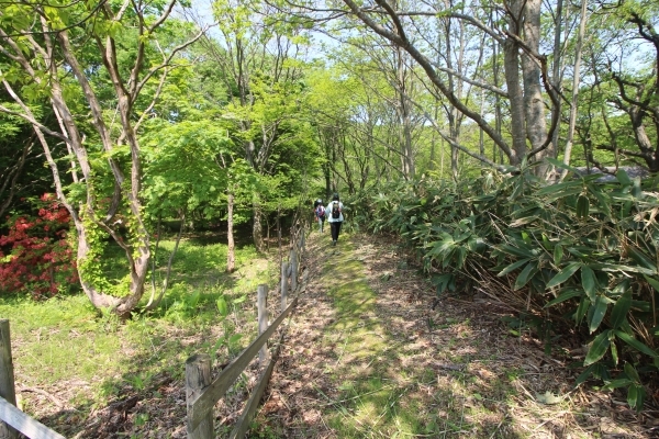 ＃十和田山入口付近