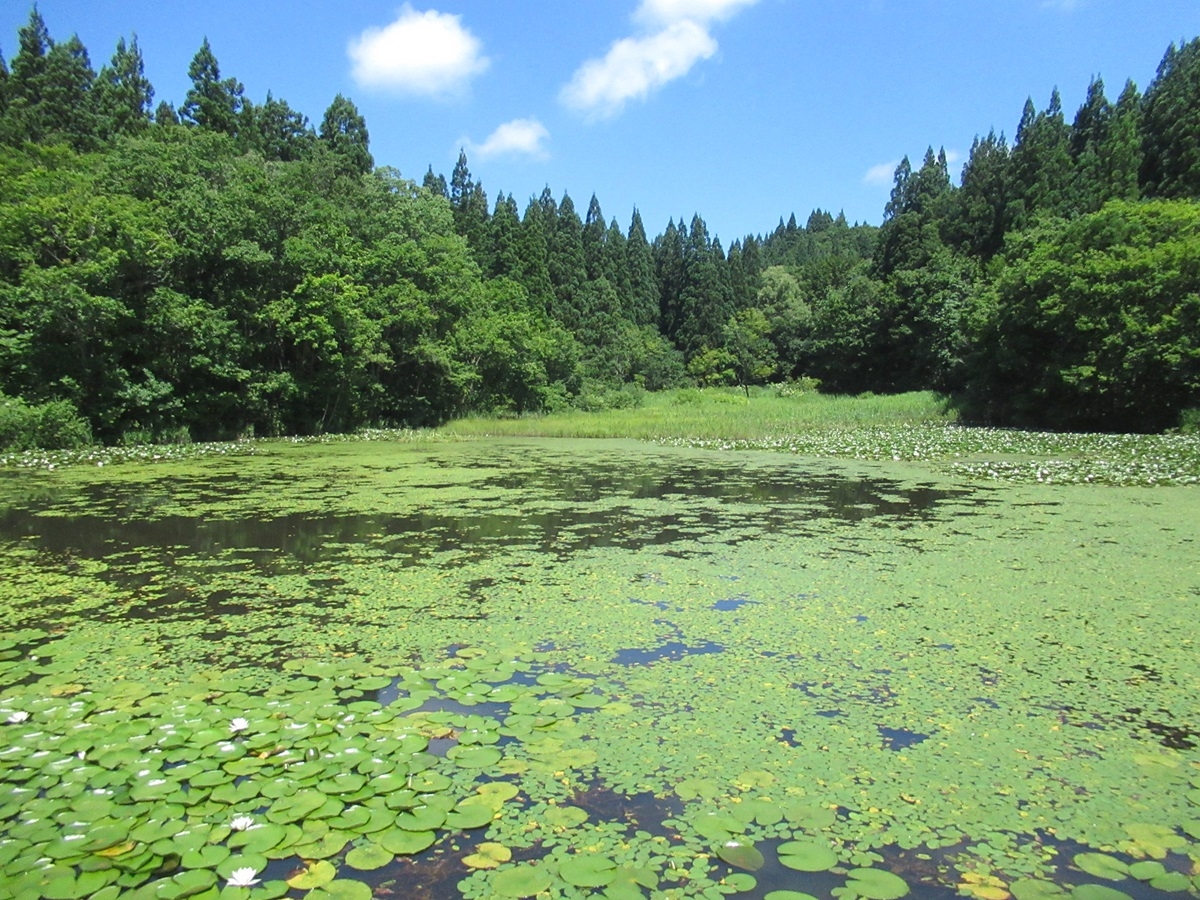 月山ビジターセンター