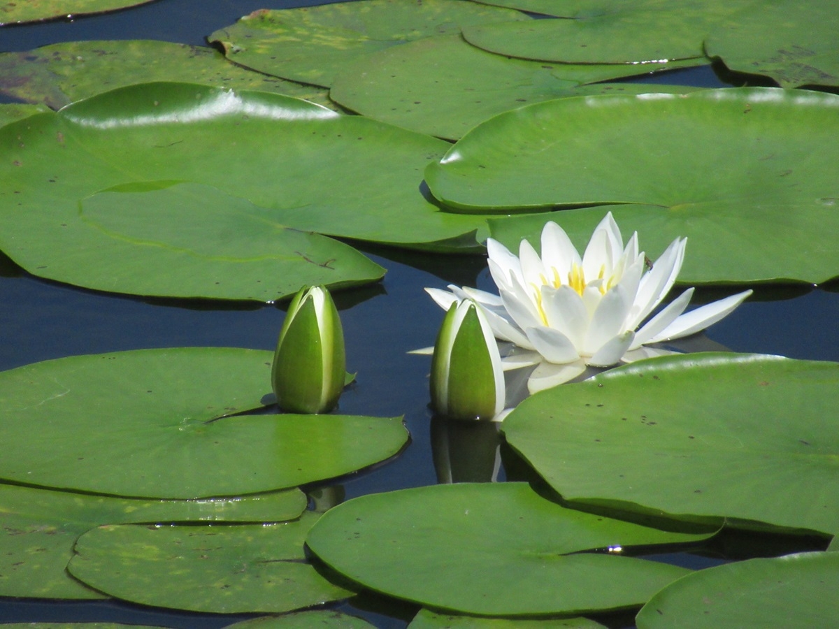 月山ビジターセンター