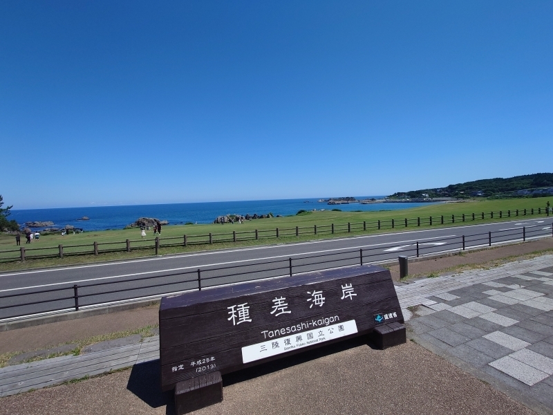＃８月の種差海岸天然芝生地は特に緑色が濃い～～です