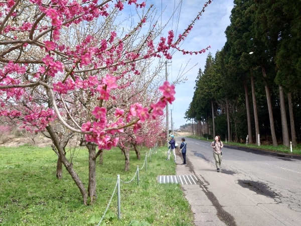 ＃いい香りにつられて