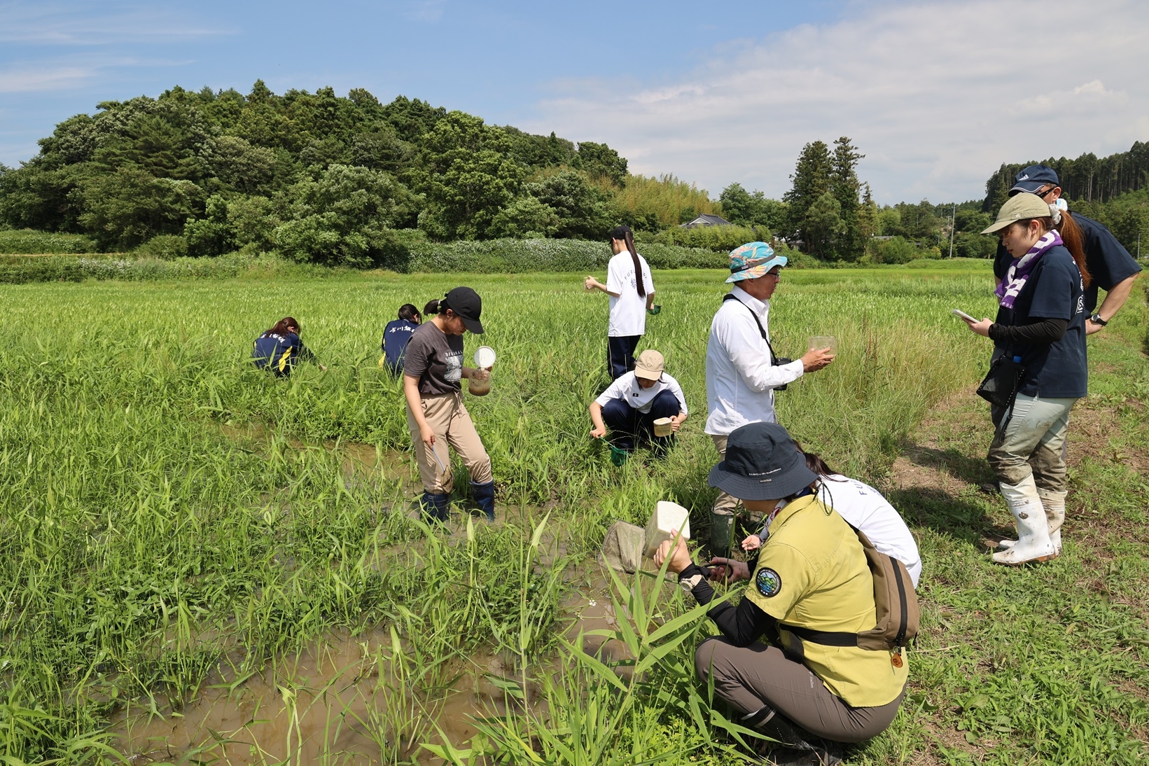 ワークショップ