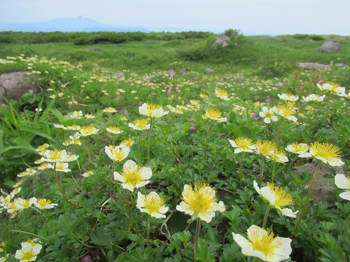 磐梯朝日国立公園