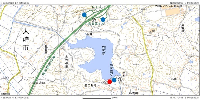 シジュウカラガンの飛び立ち