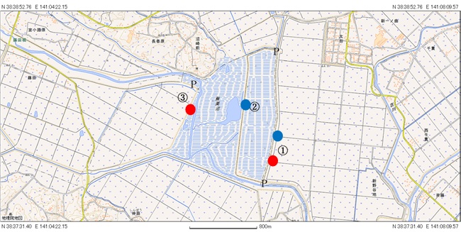 観察場所の地図