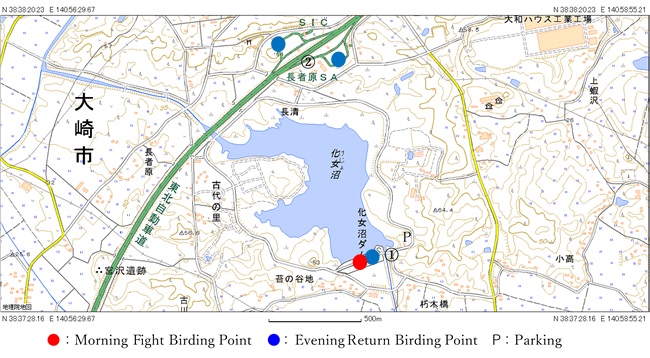 観察場所の地図