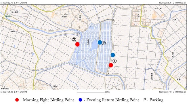 観察場所の地図
