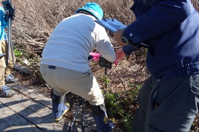 樹名板取り付け作業