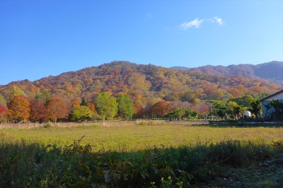 麓より十和田山