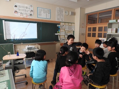ホウノキの冬芽を触る児童とそれを見る周りの３年生