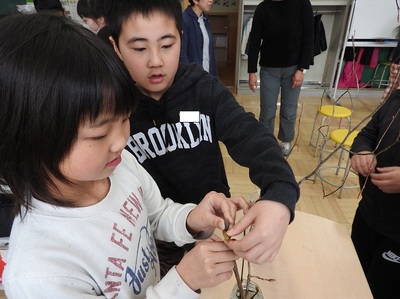 花瓶に生けられた様々な冬芽を触る３年生２人