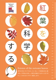 十和田ビジターセンター企画展「紅葉を科学する」