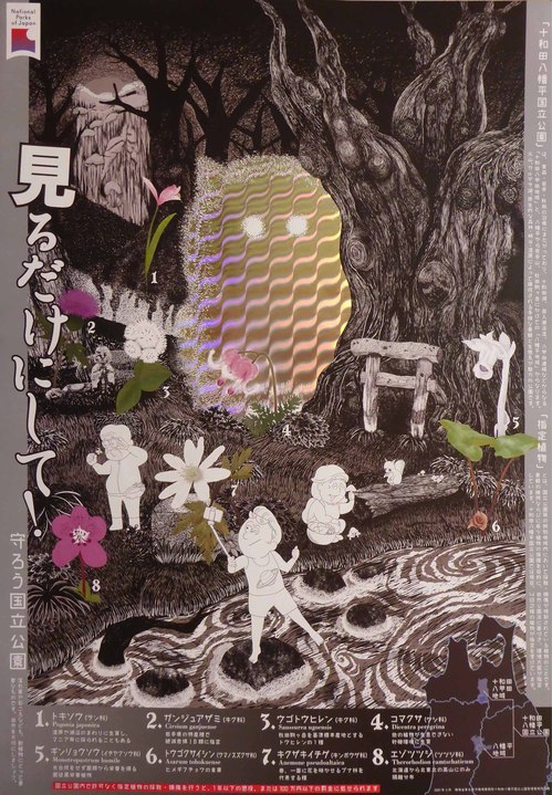 指定植物ポスター