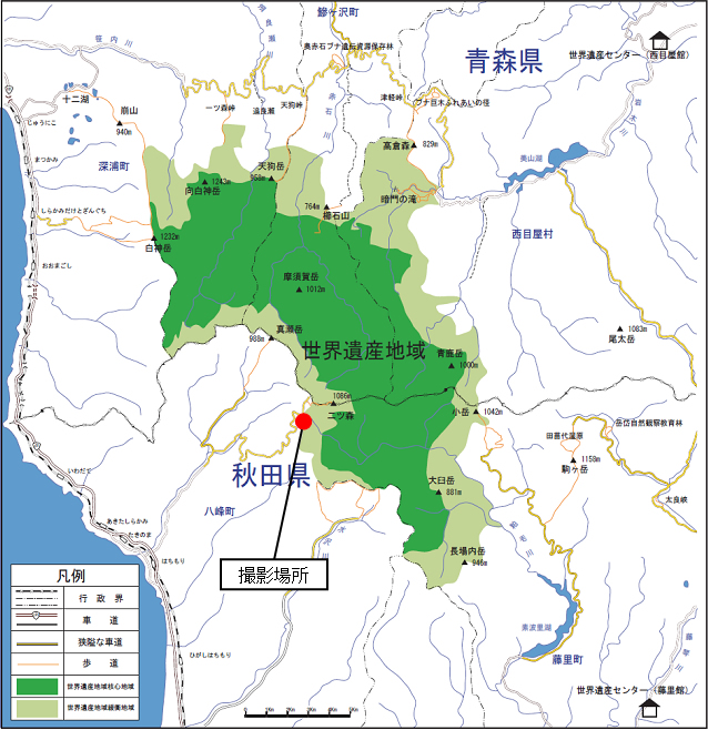 確認場所・地図