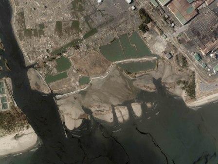 震災後　蒲生干潟(H23年3月)