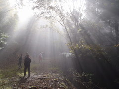 Ｂコース「牡鹿半島浜のくらし浜の再生を知るツアー」